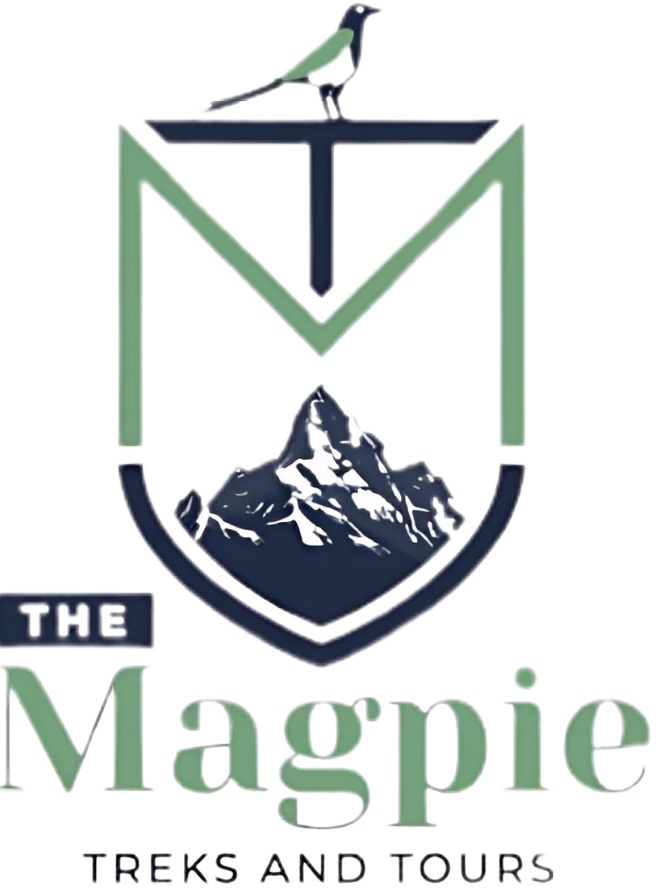 Mountain Trek Tours